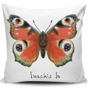 Cojines y Fundas