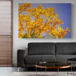 Cuadro Decorativos en Lienzo Modernos para Sala