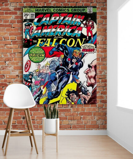 Cuadro En Lienzo Dc Comics 007