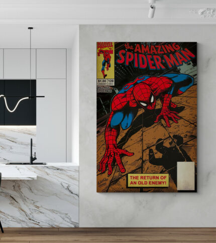 Cuadro En Lienzo Dc Comics 010