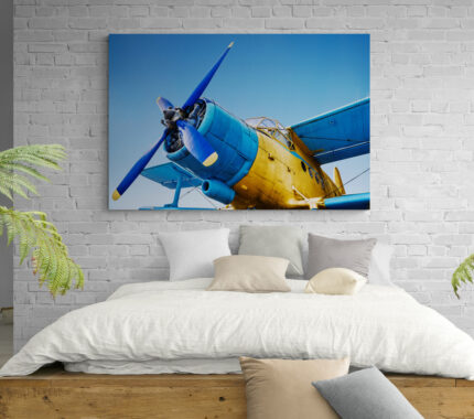 Cuadro En Lienzo Avion 037