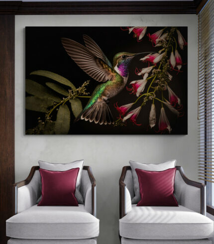 Cuadro En Lienzo Colibri 143