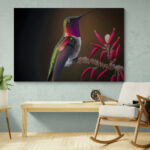 Cuadro En Lienzo Colibri 125