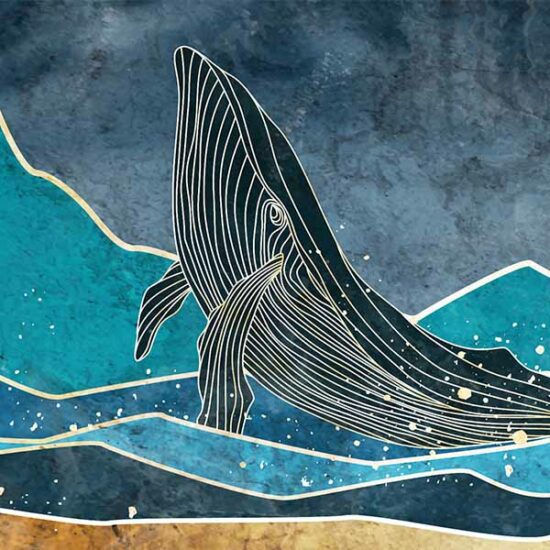 Cuadros de Ballenas