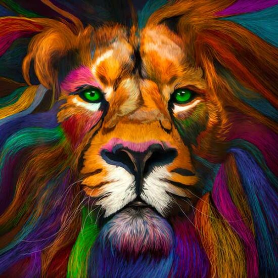 Cuadros de Loen Colores