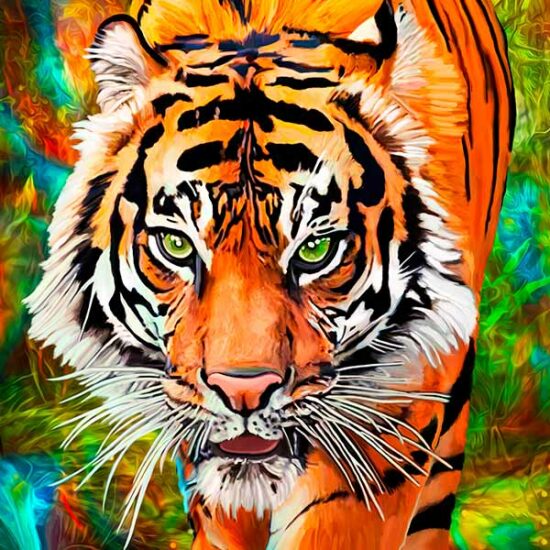 Cuadros de Tigres Colores